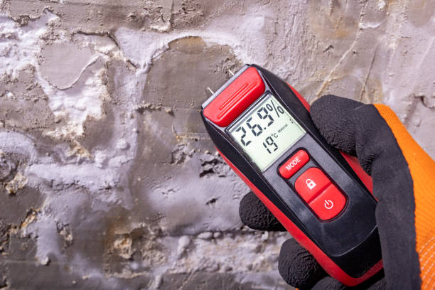 Best Office Mold Removal Services  in Conley, GA