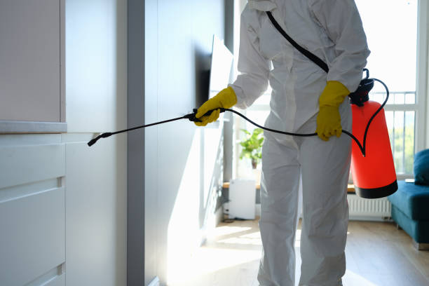 Professional Mold Removal in Conley, GA