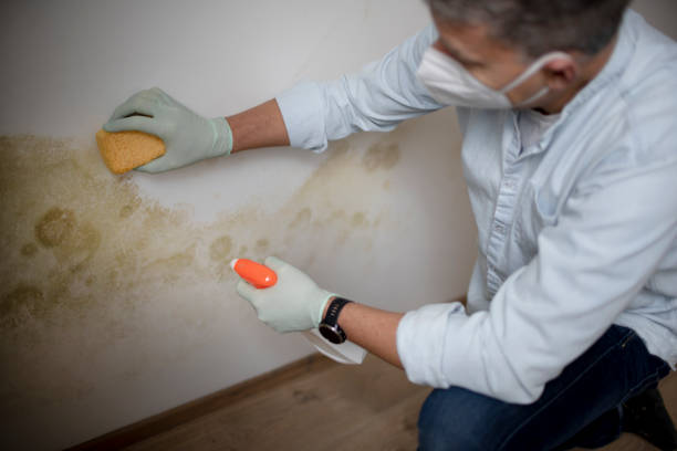 Water Damage Restoration in Conley, GA