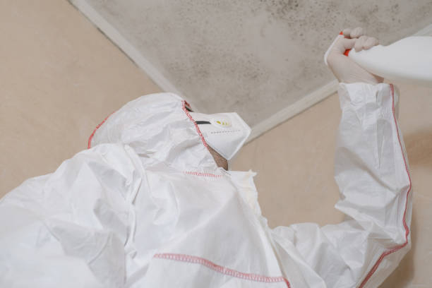 Best Toxic Mold Removal  in Conley, GA